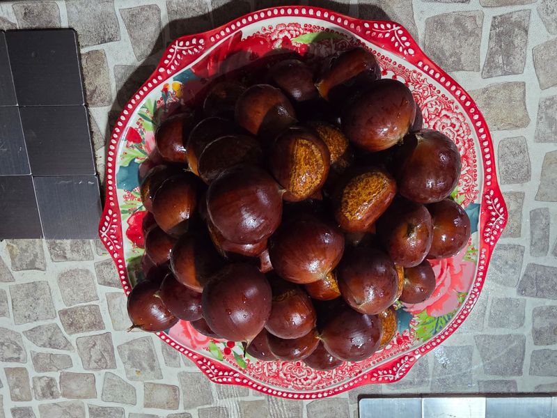 캠벨 🍇님의 장터 구매 후기 썸네일