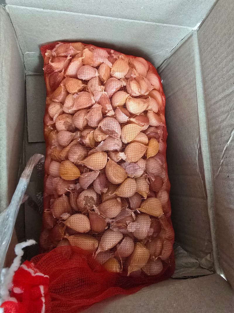 오케바리(옥경종)님의 장터 구매 후기 썸네일