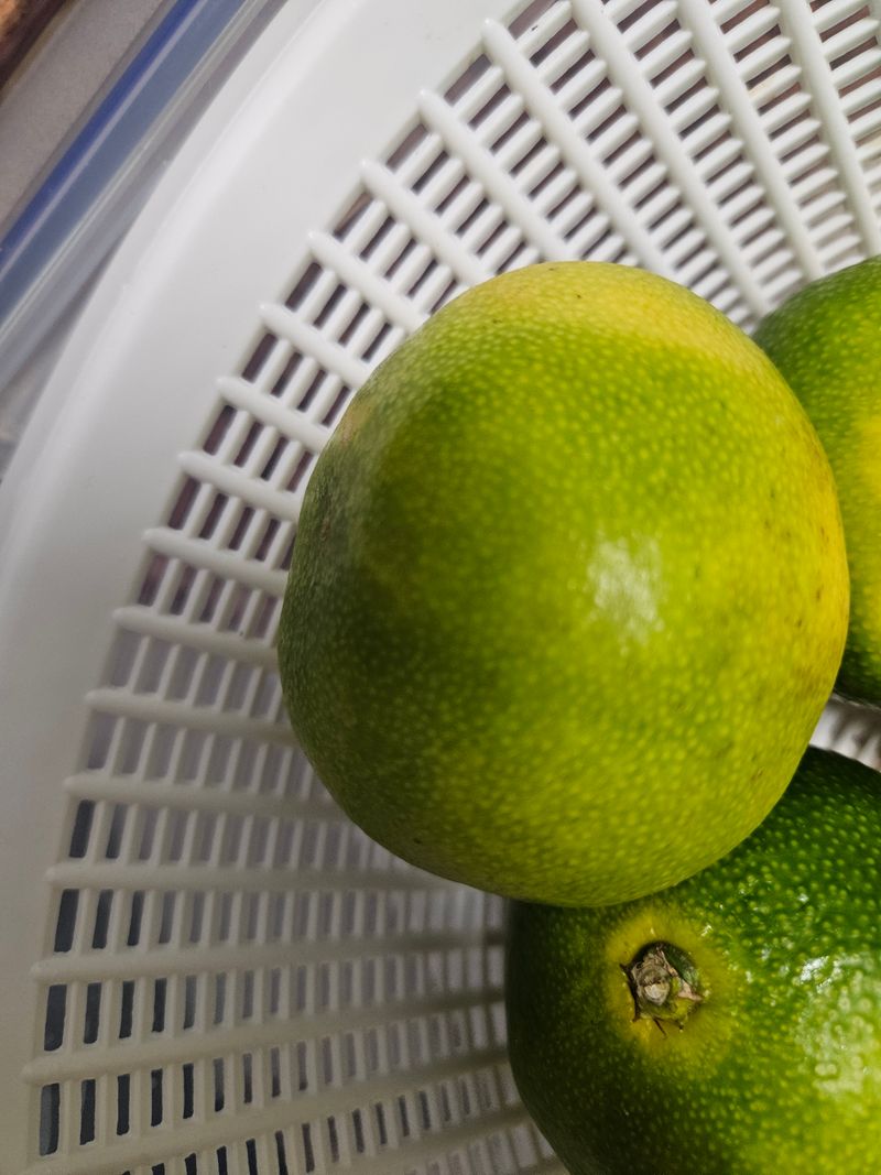 오가피15375님의 장터 구매 후기 썸네일