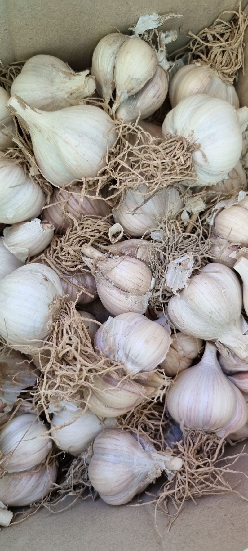 김나라님의 장터 구매 후기 썸네일