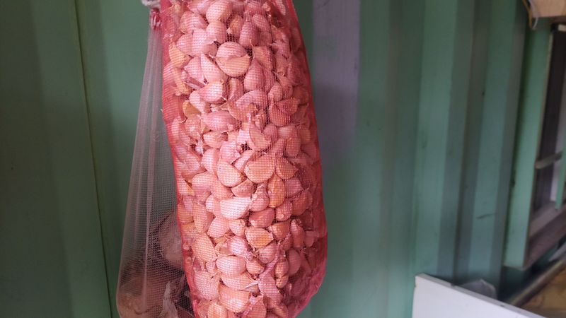 김홍중님의 장터 구매 후기 썸네일