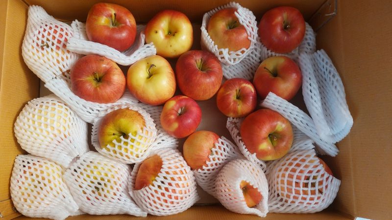 박도이님의 장터 구매 후기 썸네일