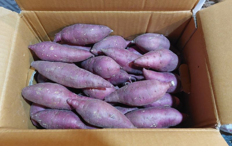 박도이님의 장터 구매 후기 썸네일