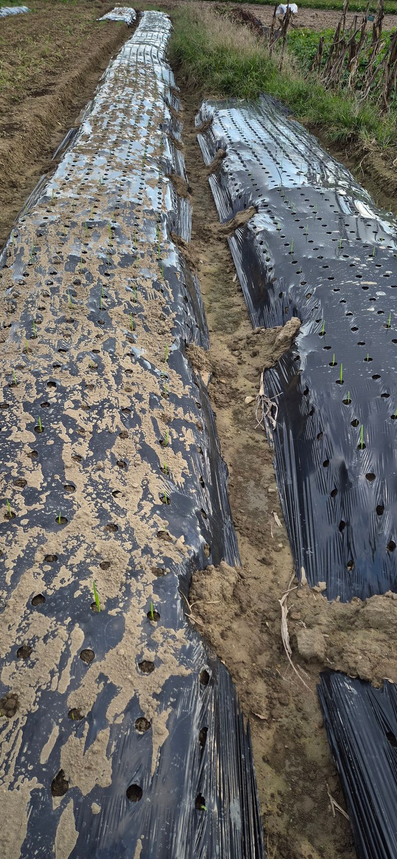 최용운님의 장터 구매 후기 썸네일