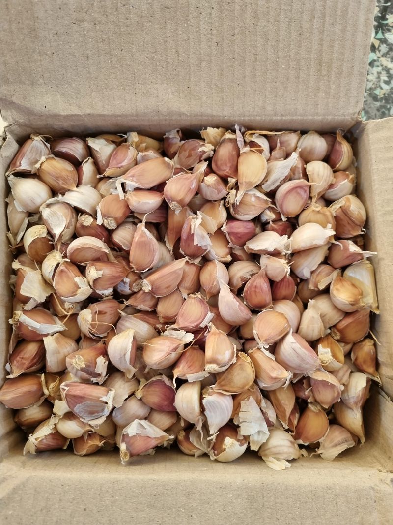 전기창님의 장터 구매 후기 썸네일