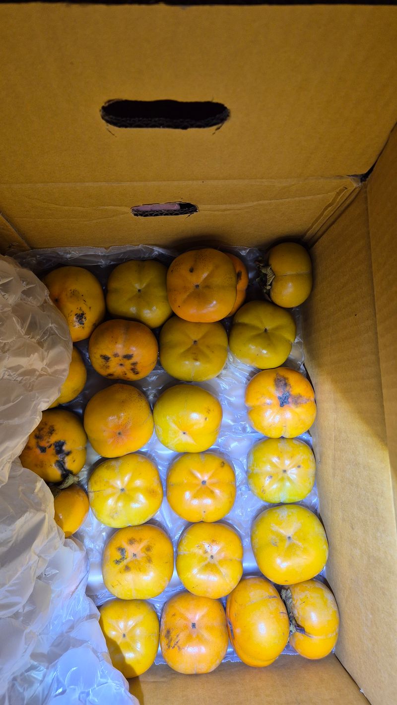 산그림자님의 장터 구매 후기 썸네일