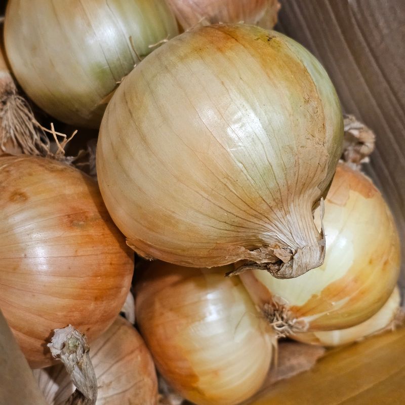 최윤정님의 장터 구매 후기 썸네일