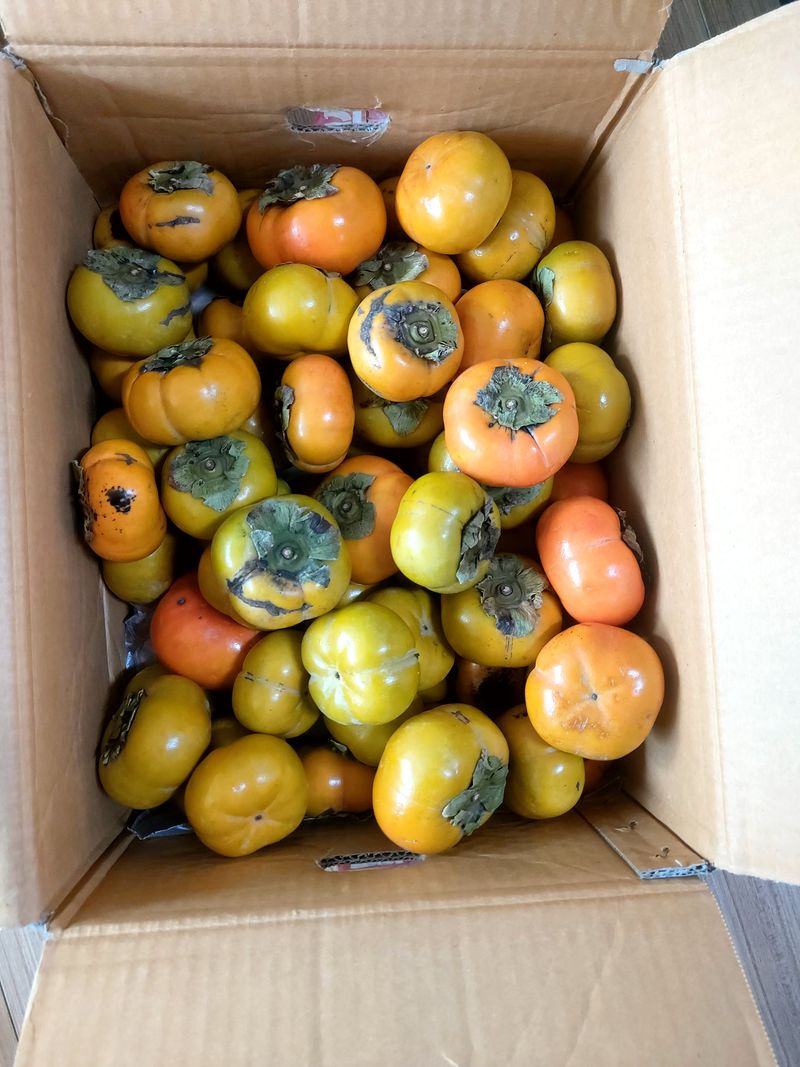 김진봉님의 장터 구매 후기 썸네일