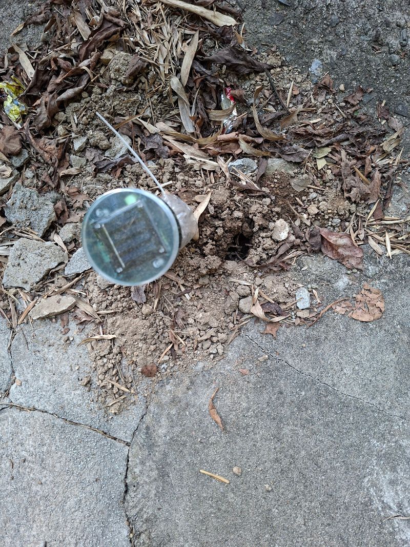 정백영님의 장터 구매 후기 썸네일