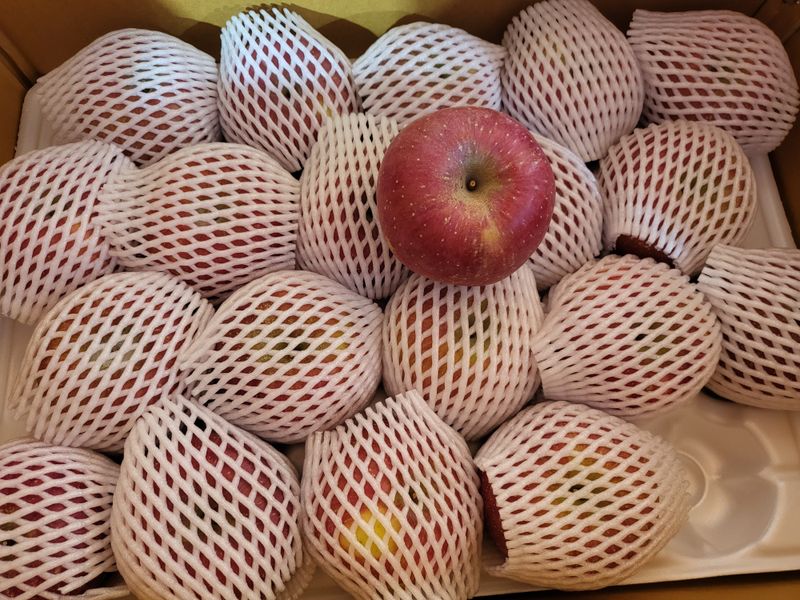 멋진인생님의 장터 구매 후기 썸네일