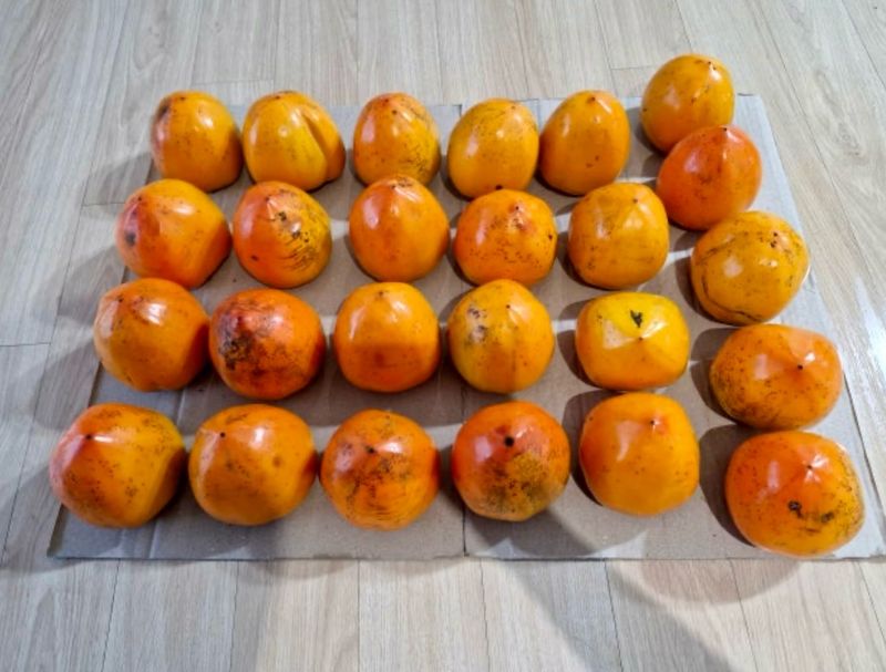 김정겸님의 장터 구매 후기 썸네일