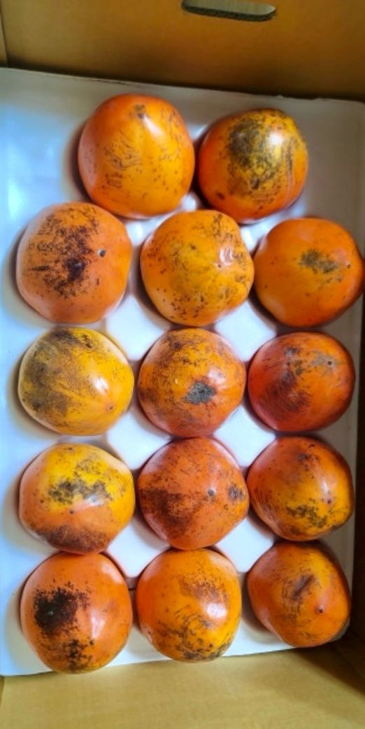 김용억님의 장터 구매 후기 썸네일