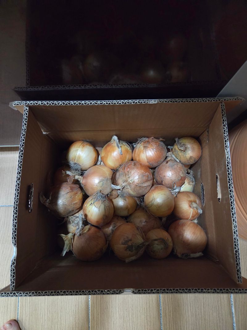 마늘19863님의 장터 구매 후기 썸네일