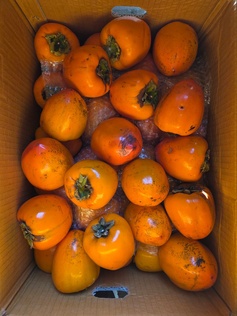 나인 골프님의 장터 구매 후기 썸네일