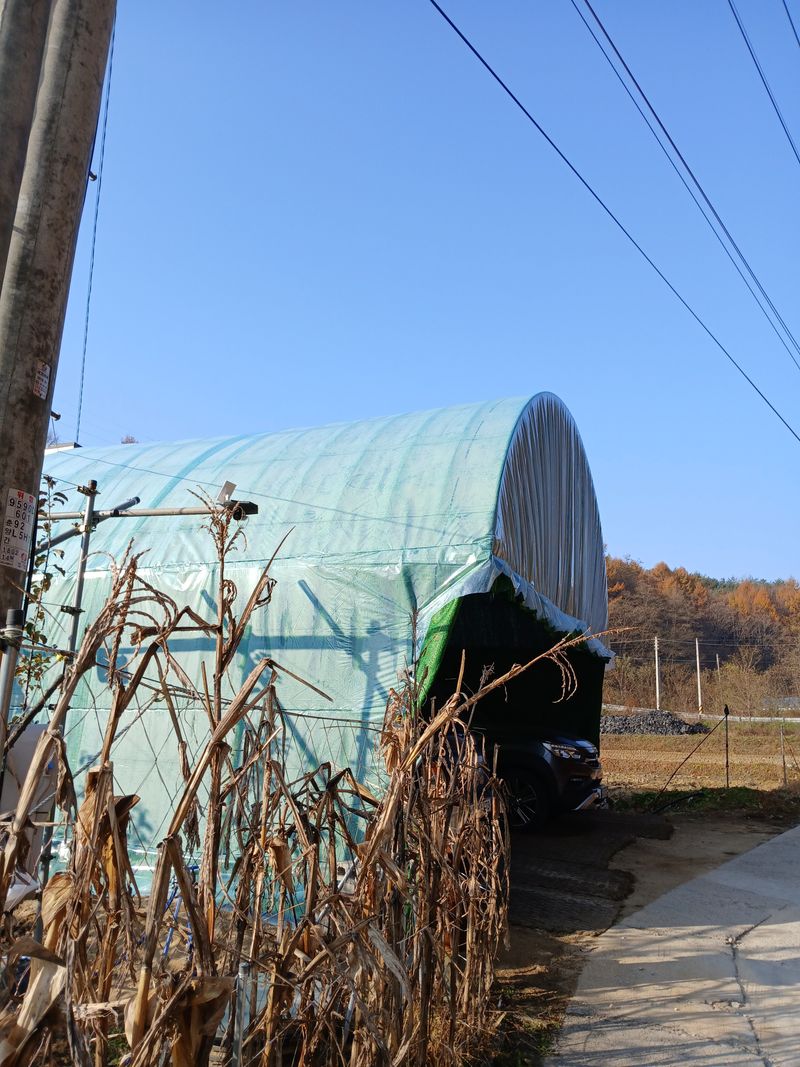 4🍎과님의 장터 구매 후기 썸네일