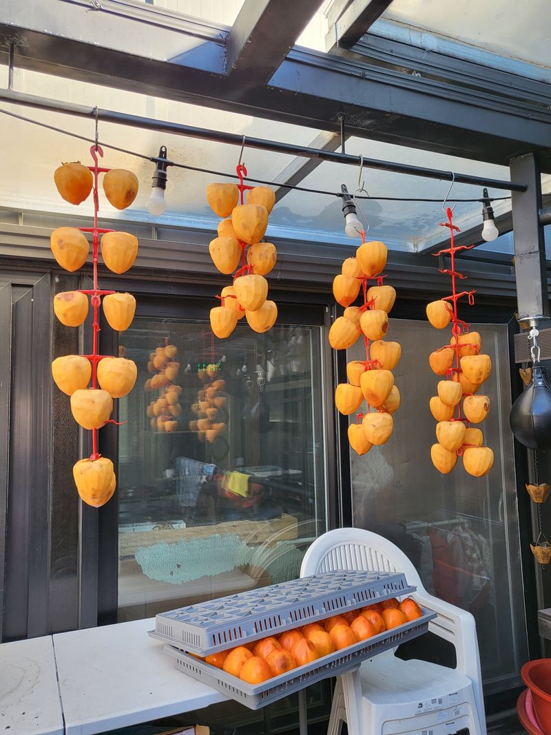 orange22님의 장터 구매 후기 썸네일