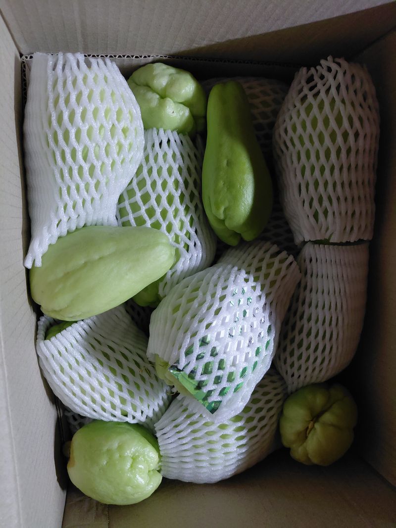 조명희님의 장터 구매 후기 썸네일