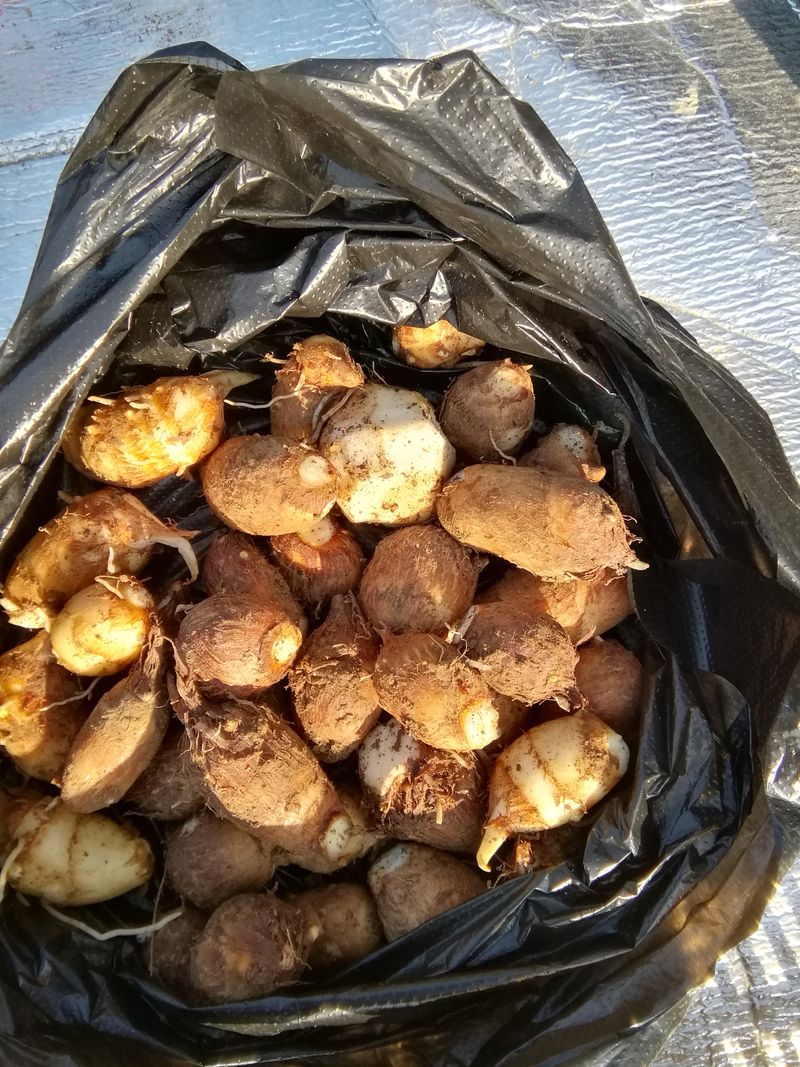 백창석님의 장터 구매 후기 썸네일