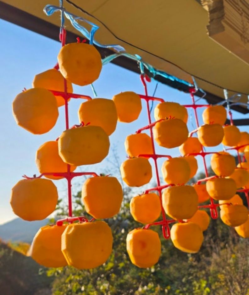 송승기님의 장터 구매 후기 썸네일