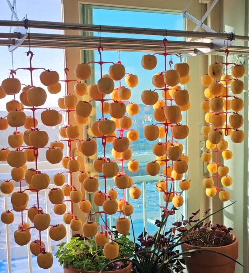 박성택님의 장터 구매 후기 썸네일