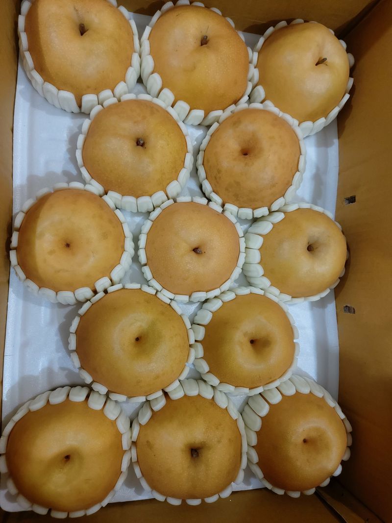 김진봉님의 장터 구매 후기 썸네일