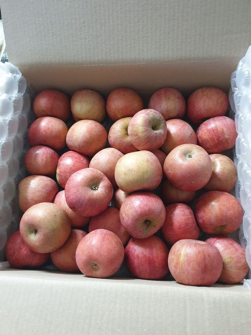 풍곡님의 장터 구매 후기 썸네일