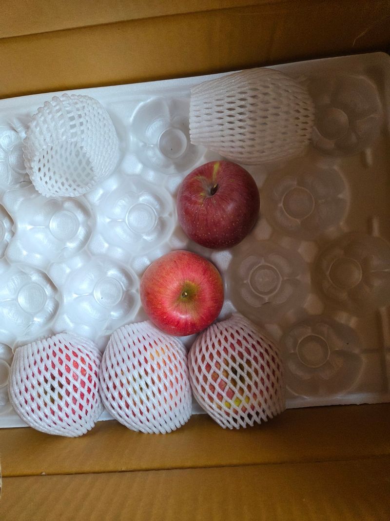 만월봉아지매님의 장터 구매 후기 썸네일