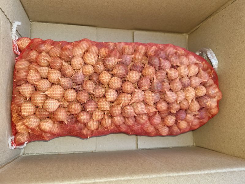 옥수수12119님의 장터 구매 후기 썸네일