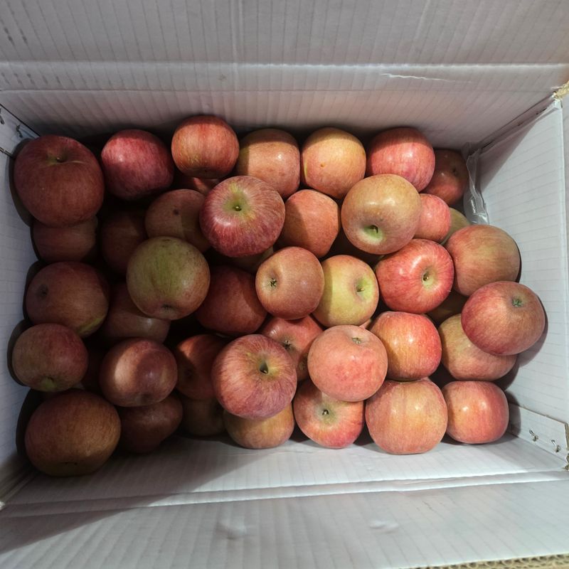 임영심님의 장터 구매 후기 썸네일