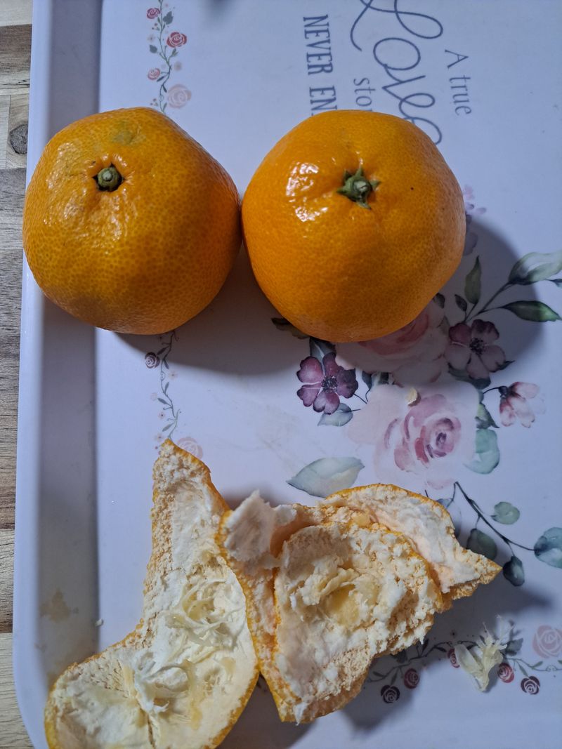 귀산촌님의 장터 구매 후기 썸네일