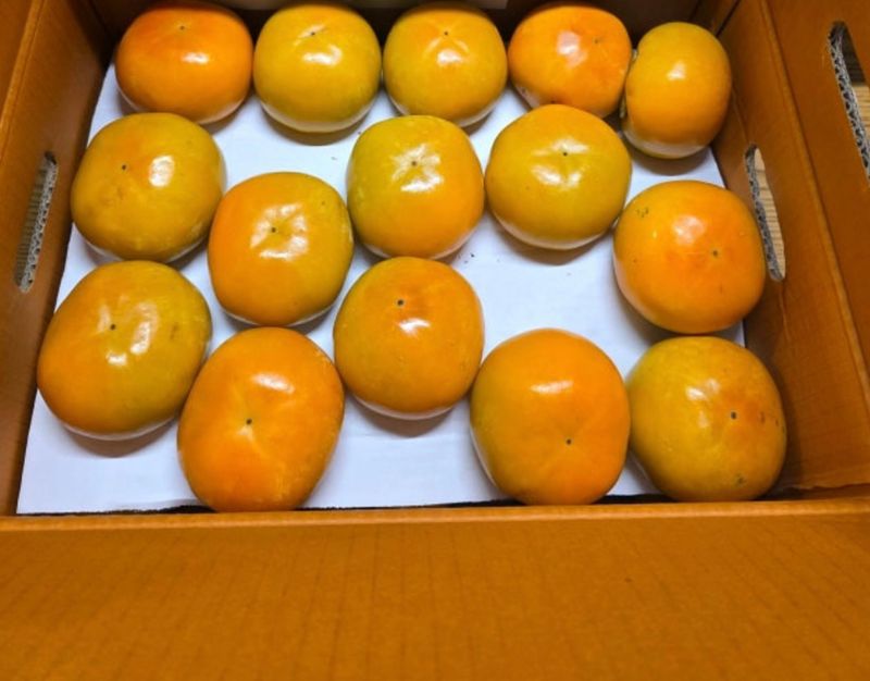 하태명님의 장터 구매 후기 썸네일