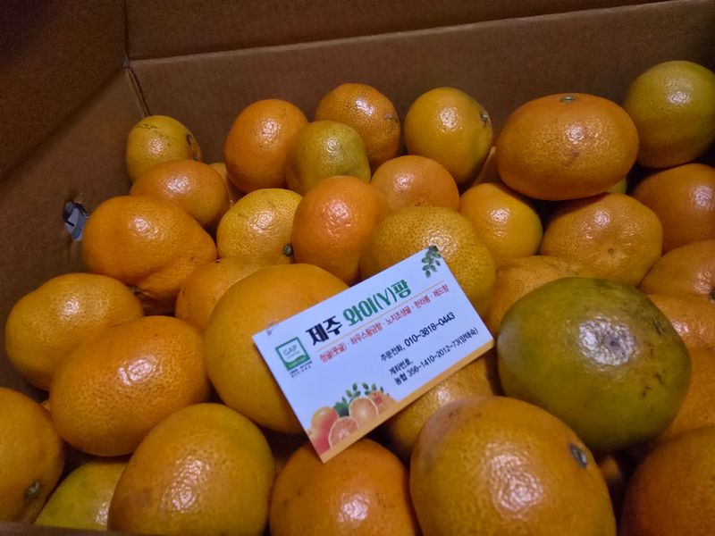 153포포묘목 농장님의 장터 구매 후기 썸네일