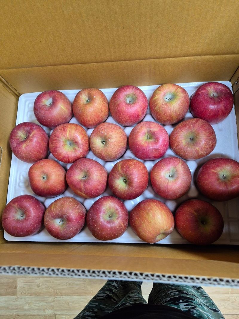 차순흥님의 장터 구매 후기 썸네일