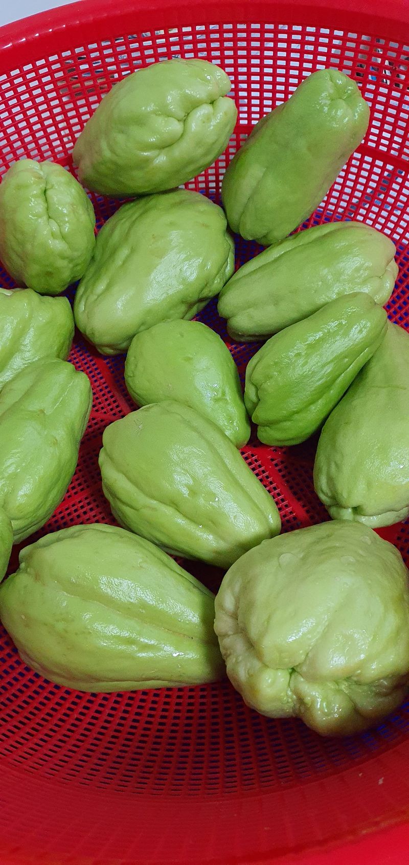 자연으로님의 장터 구매 후기 썸네일