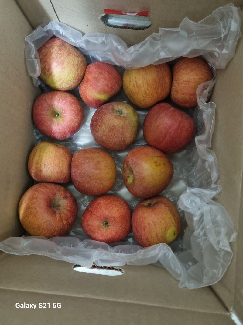 강옥석님의 장터 구매 후기 썸네일