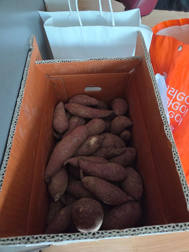 정기영님의 장터 구매 후기 썸네일