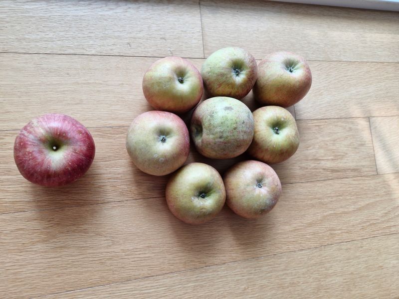 전능사님의 장터 구매 후기 썸네일