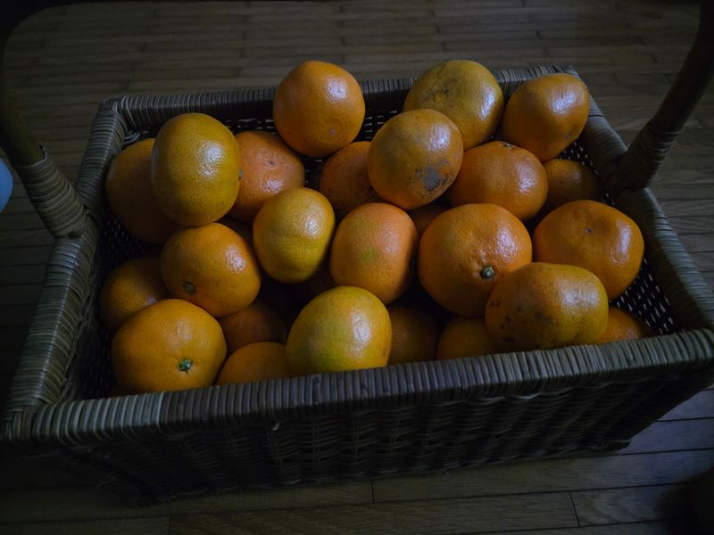 김재원님의 장터 구매 후기 썸네일