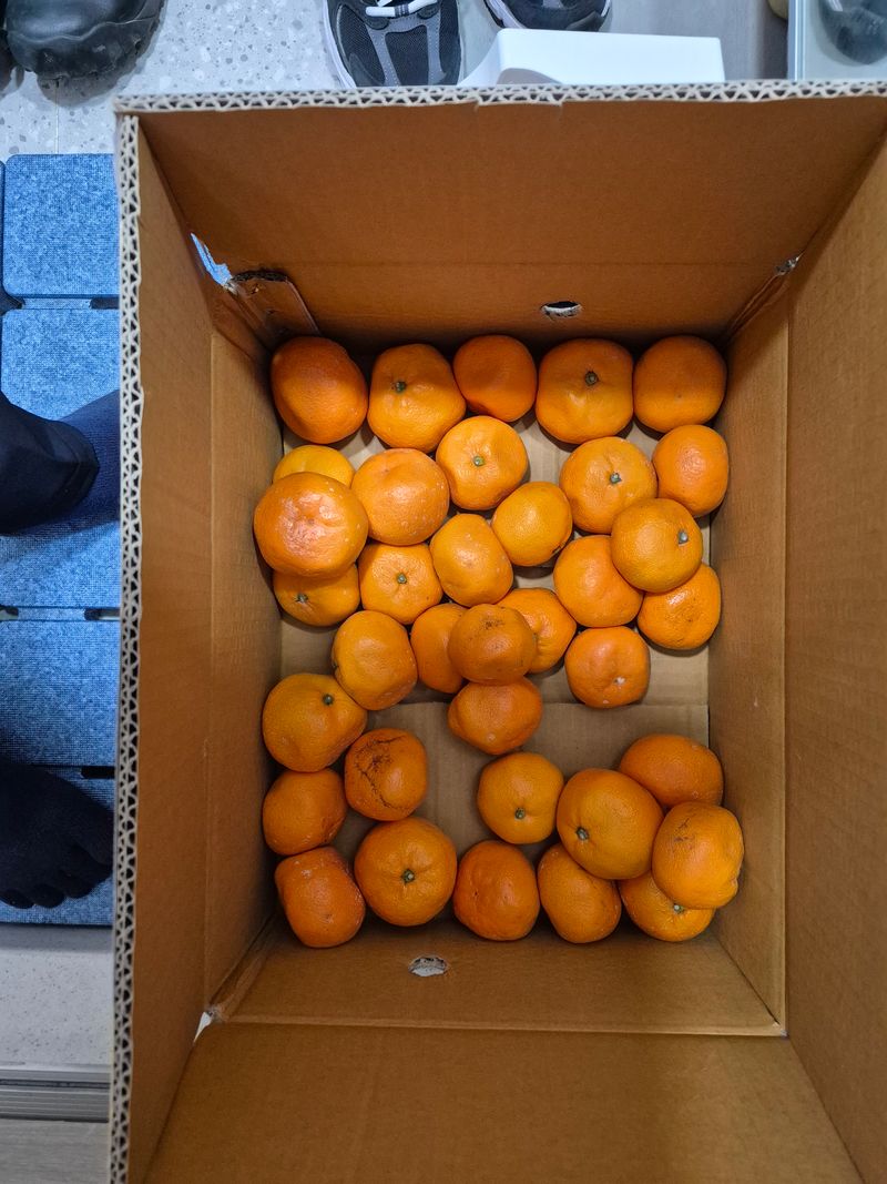 김용민님의 장터 구매 후기 썸네일