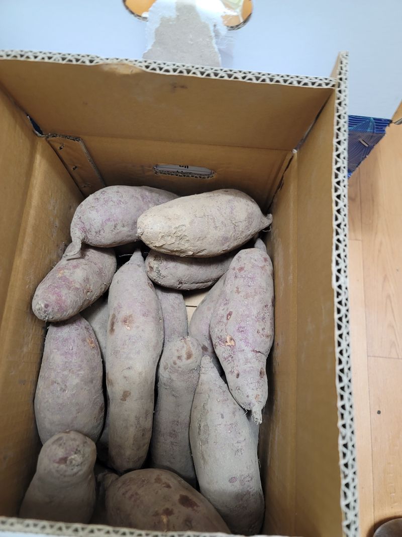 서성환님의 장터 구매 후기 썸네일