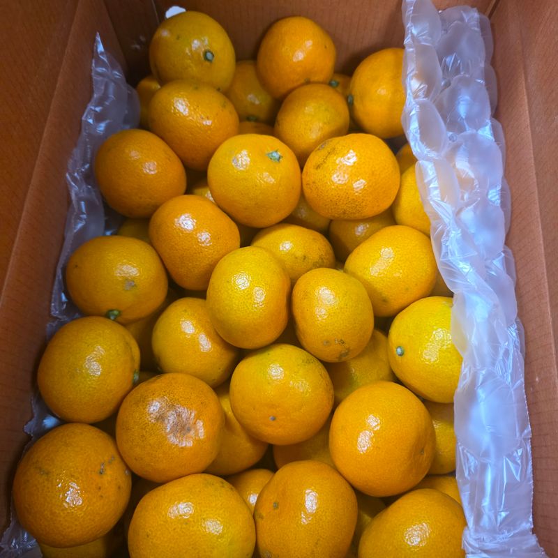 딸기2361님의 장터 구매 후기 썸네일