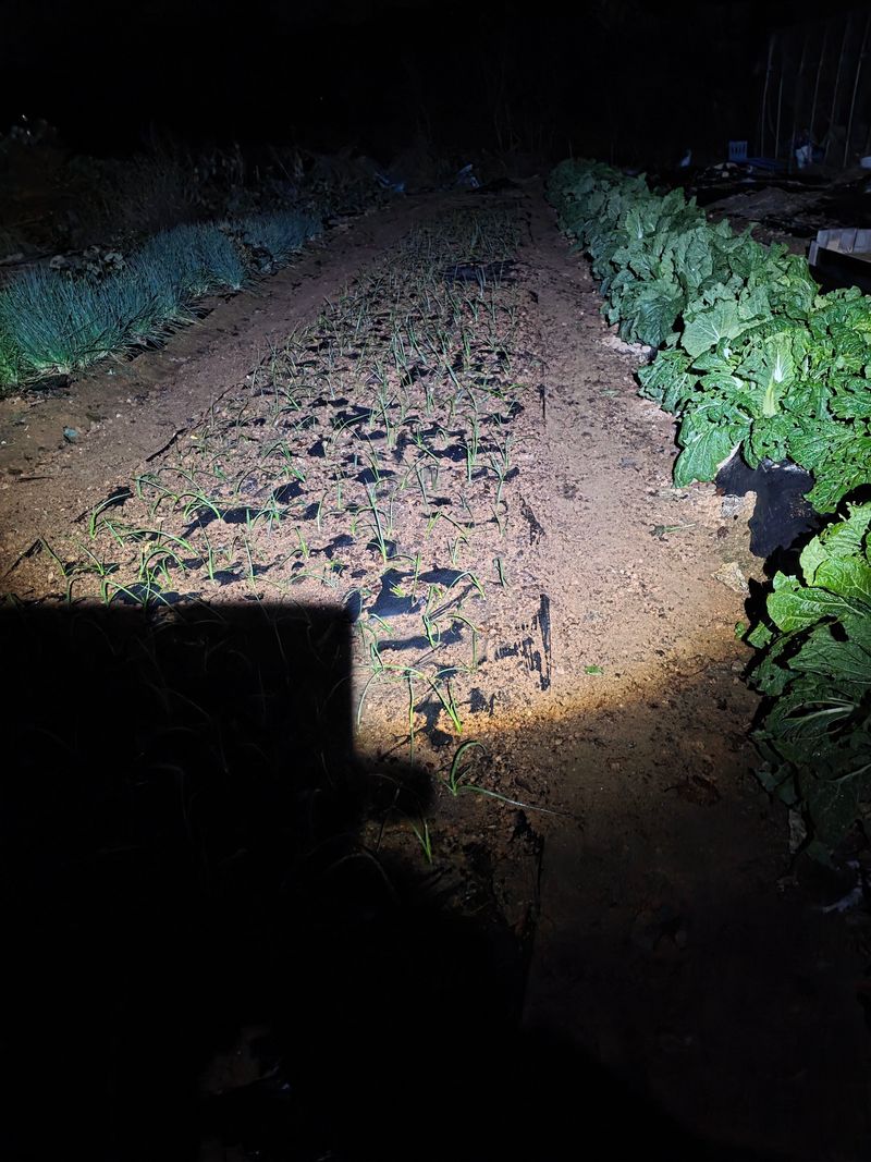 김재원님의 장터 구매 후기 썸네일