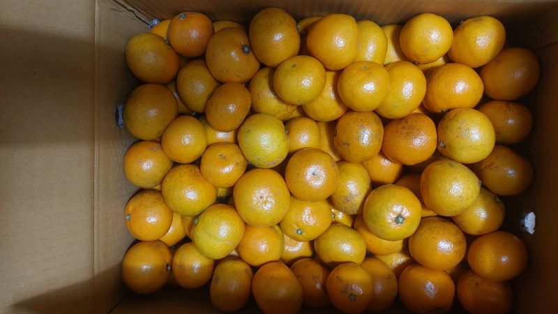 박도이님의 장터 구매 후기 썸네일