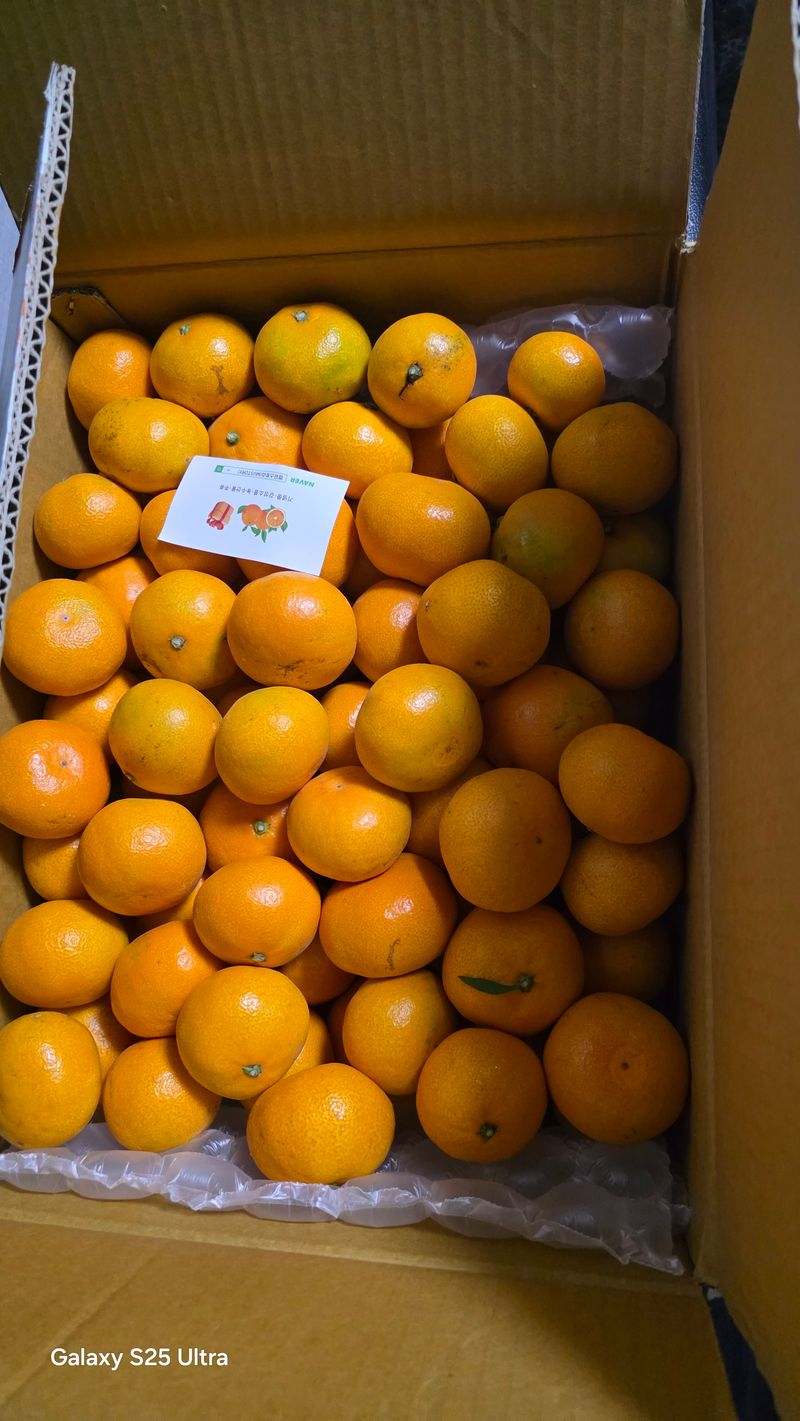 남정랑님의 장터 구매 후기 썸네일