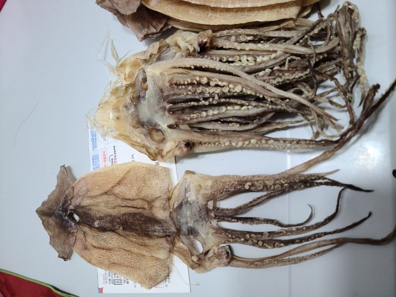 콩20667님의 장터 구매 후기 썸네일