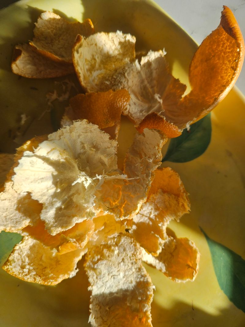 farmer님의 장터 구매 후기 썸네일