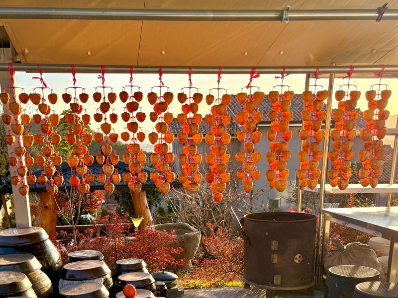 김정겸님의 장터 구매 후기 썸네일