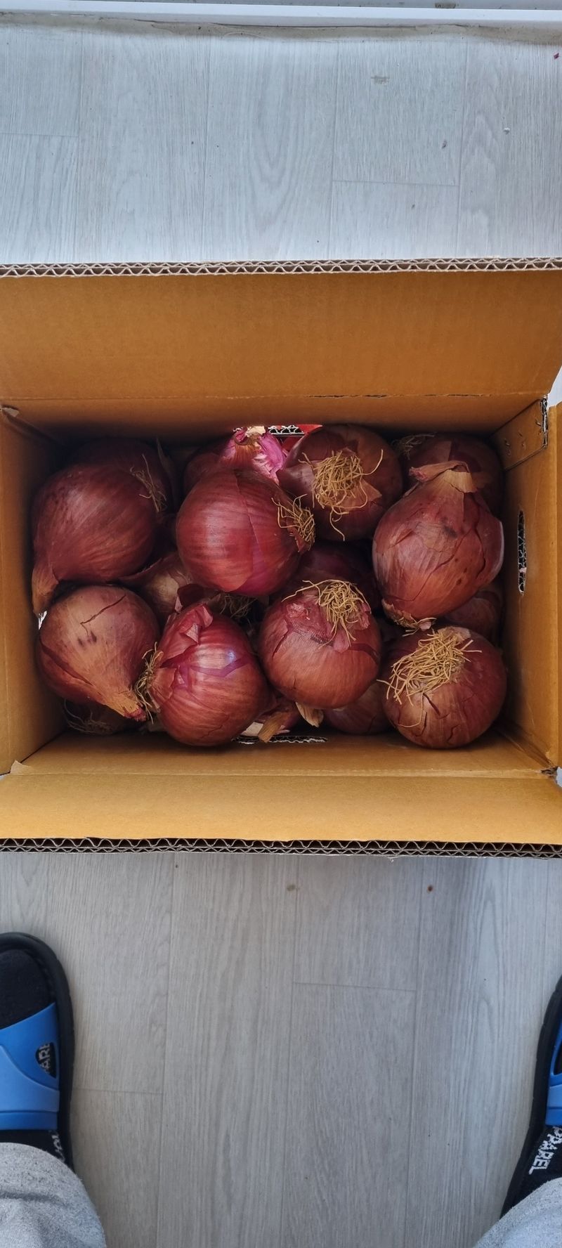 조우연님의 장터 구매 후기 썸네일