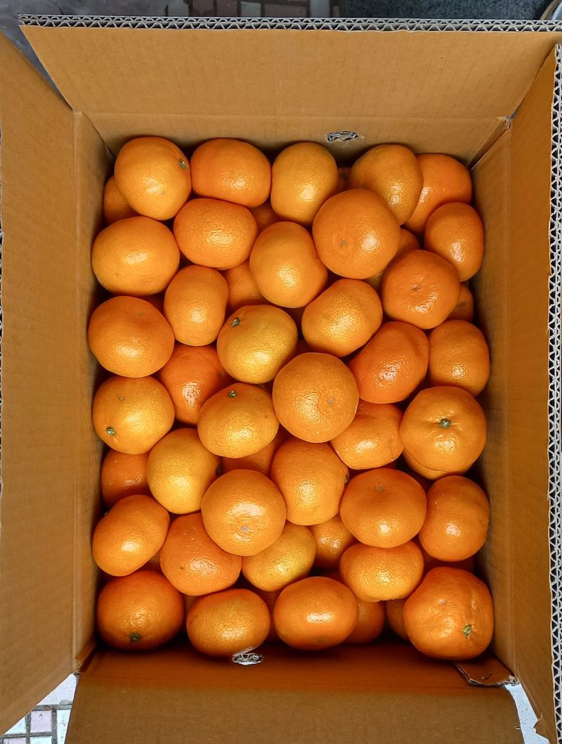 문순님의 장터 구매 후기 썸네일