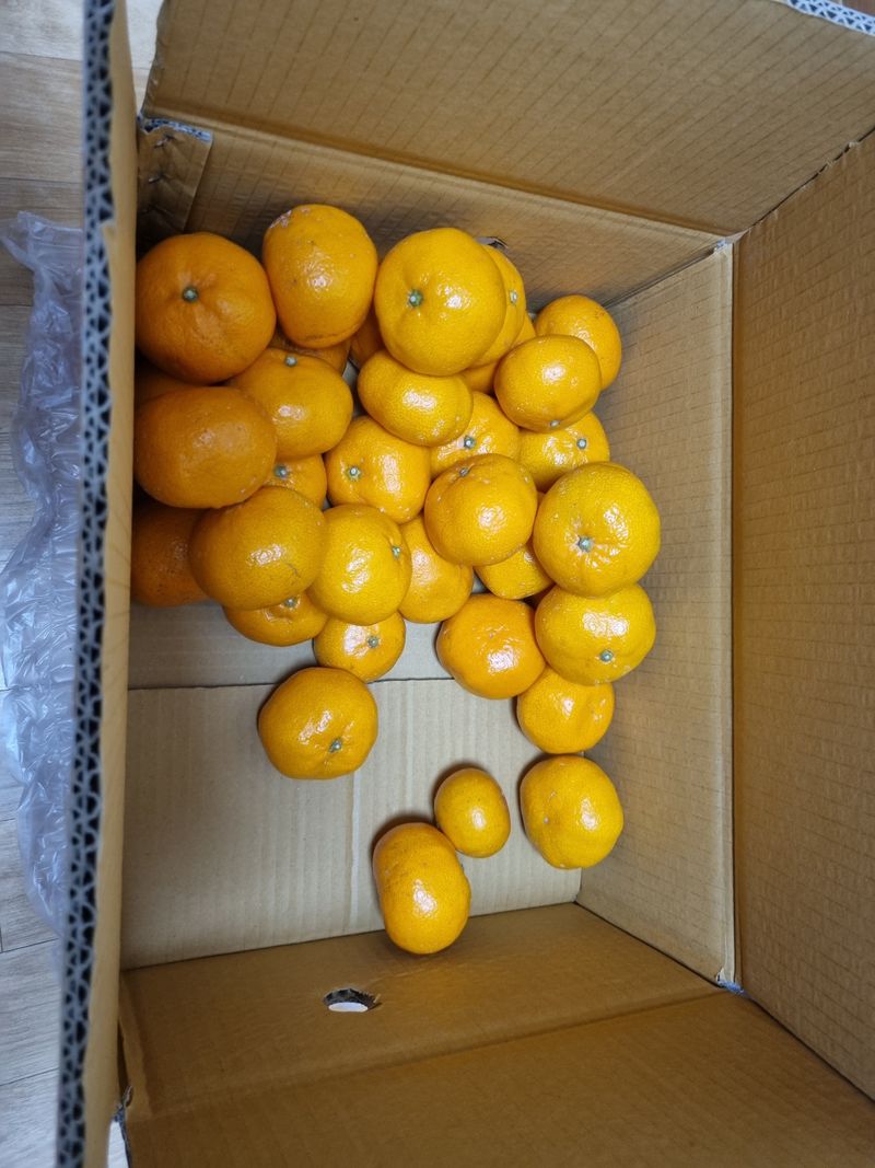 이세락님의 장터 구매 후기 썸네일